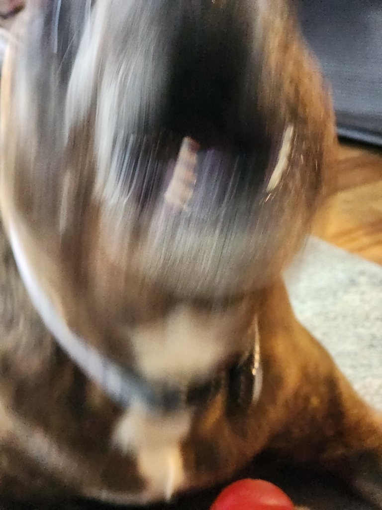 20250822_171139.jpg