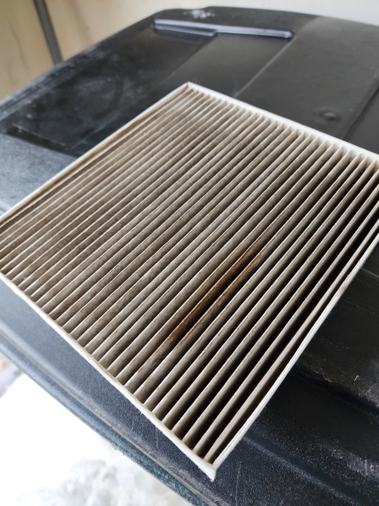 20250831_145823.jpg