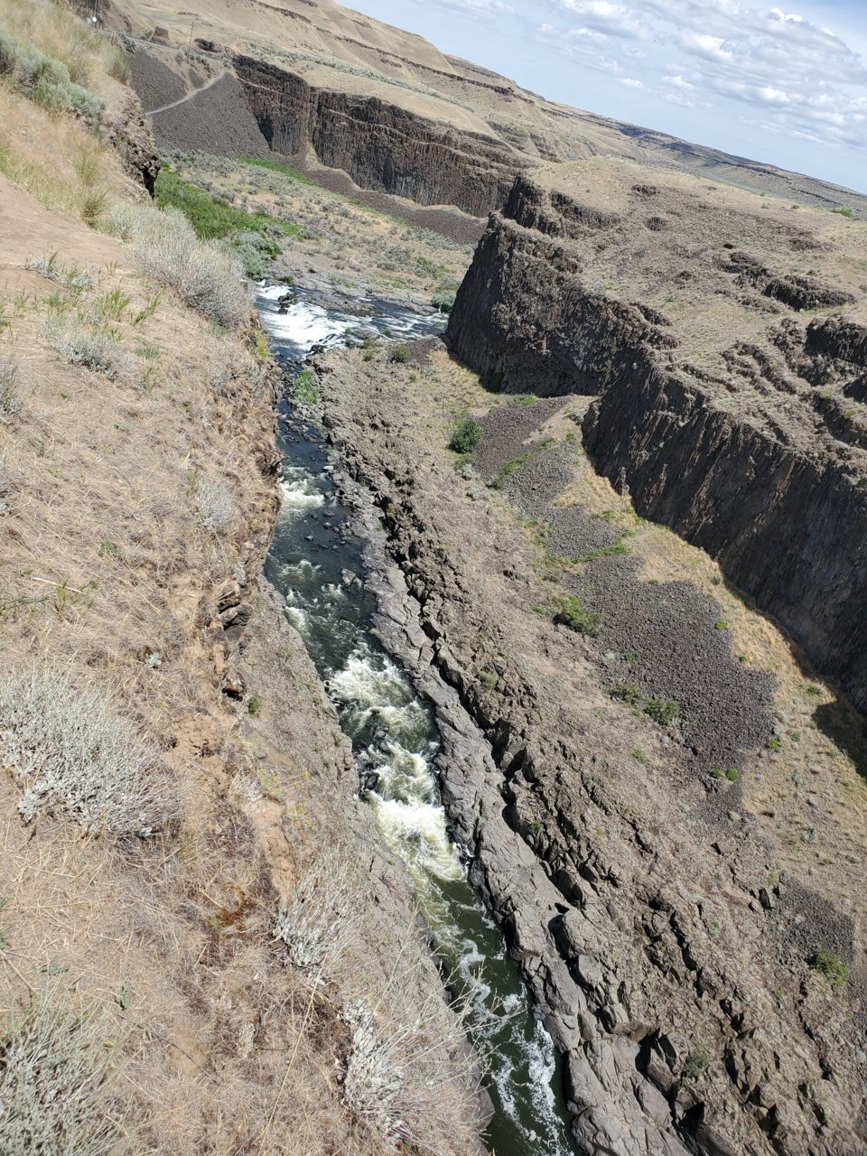 26496206-F657-4D1E-864A-A89C51E207CC.jpg