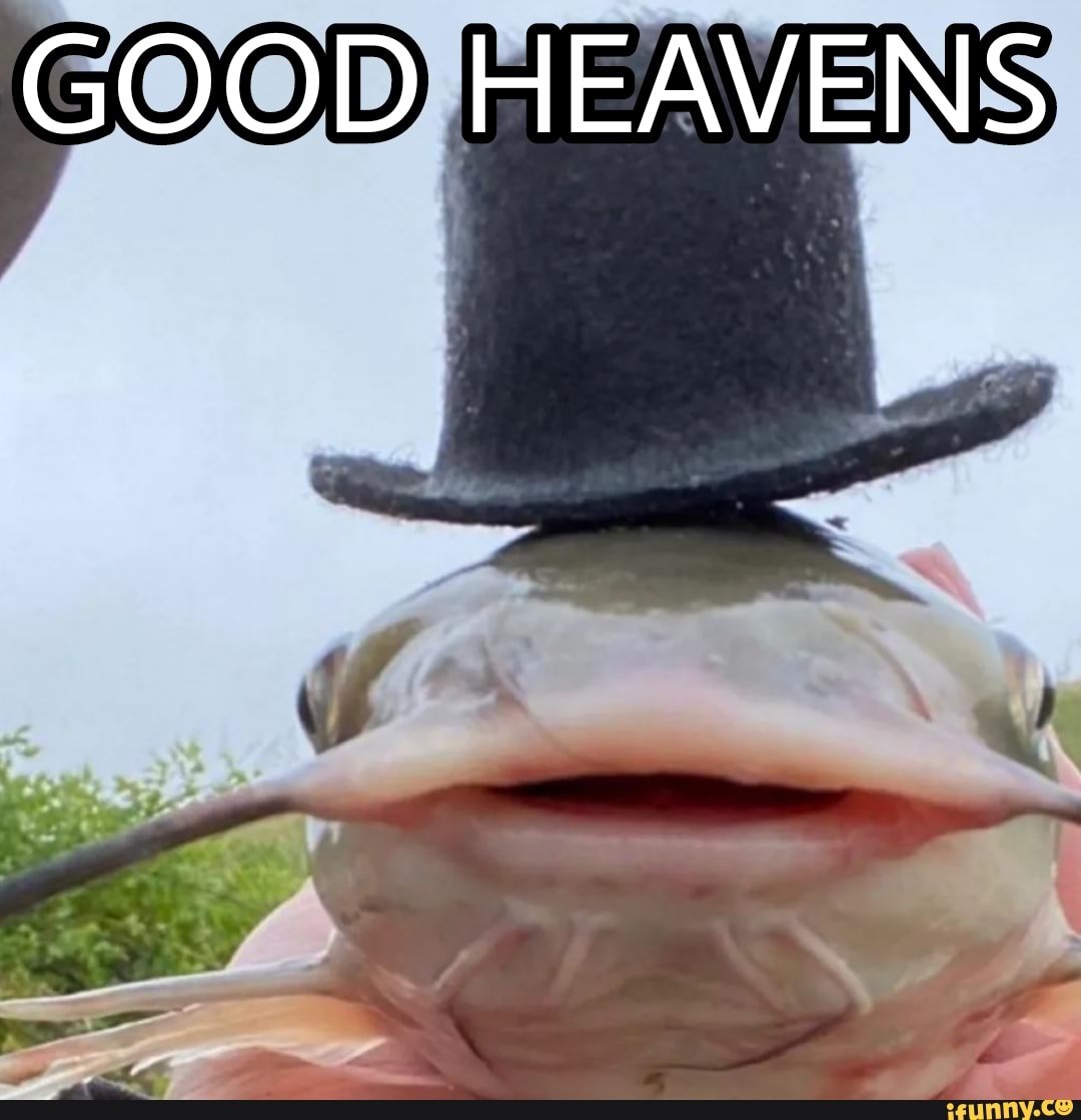 2bf7b5fea29d2c54f0acf472d95968f214aa7819a469c16d60807a8534cc4718_1.jpg.jpg