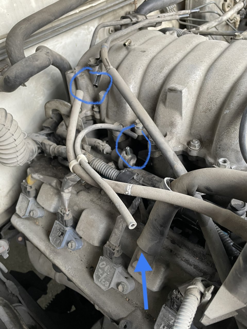 2C552880-38F5-400C-9FCA-E462EC9894BE.jpg