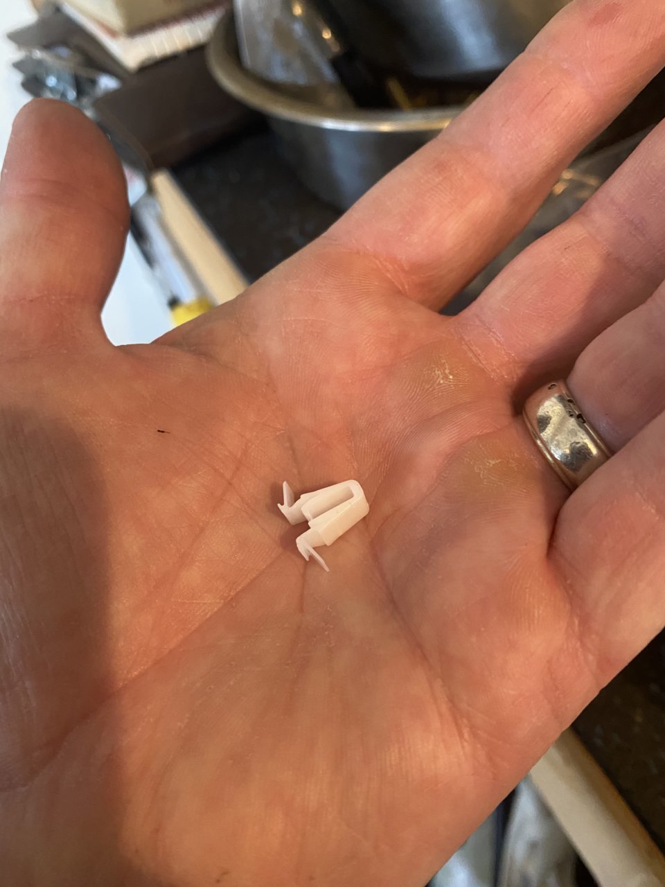 2EC388DA-9FE4-4155-8756-045906959D26.jpg
