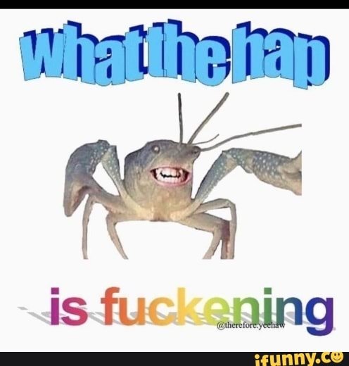 2fa7c32a2f43b894b5d62e8ca5cbe009f841a186205712151653fdfa6bd0a3ed_1.jpg.jpg