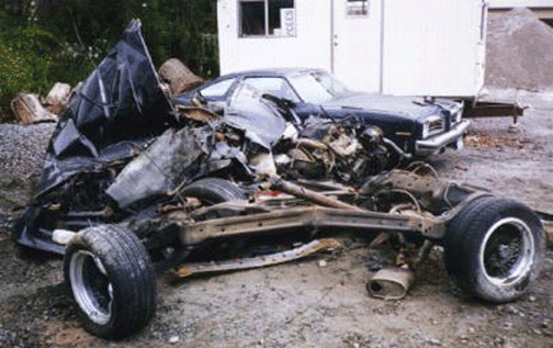 3-1-07-shredded-1.gif