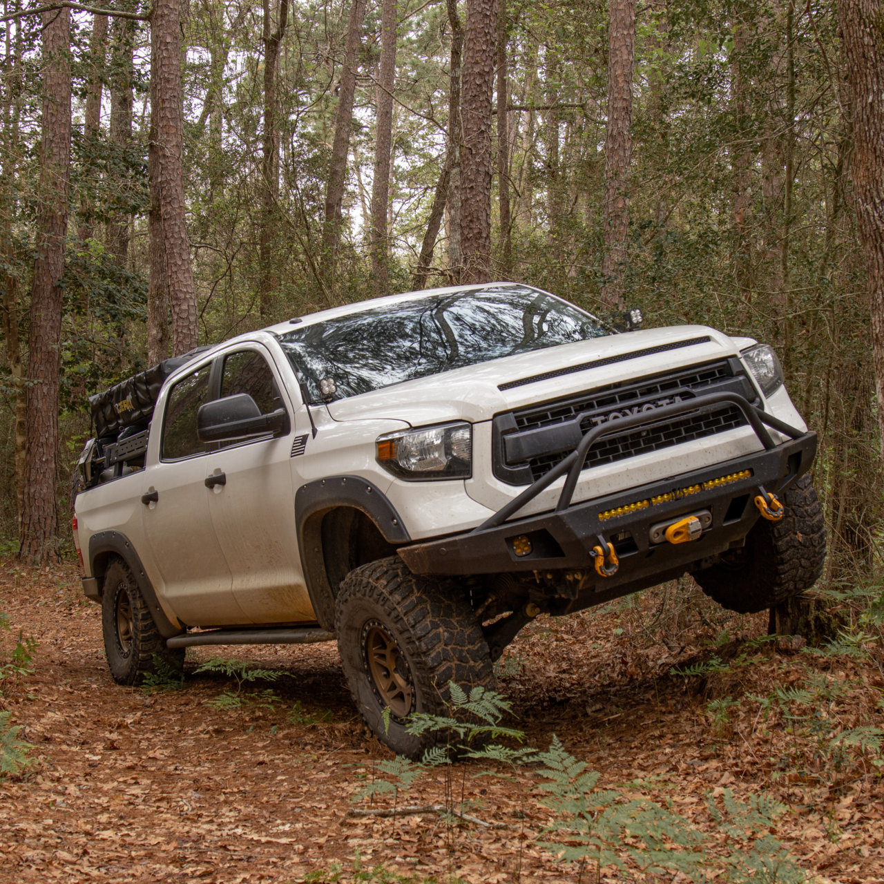 3 28 23 Tundra (39).jpg
