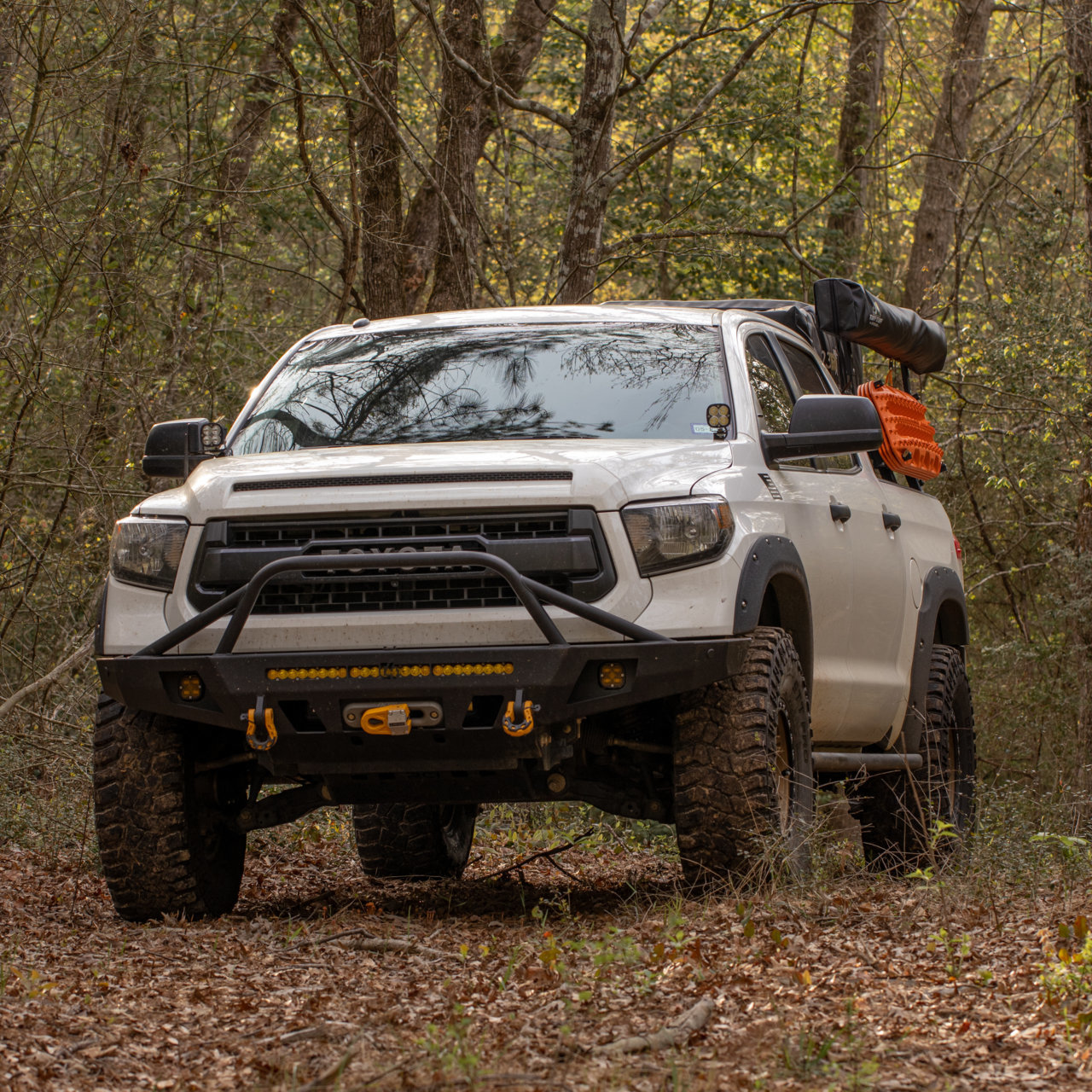 3 28 23 Tundra (7).jpg