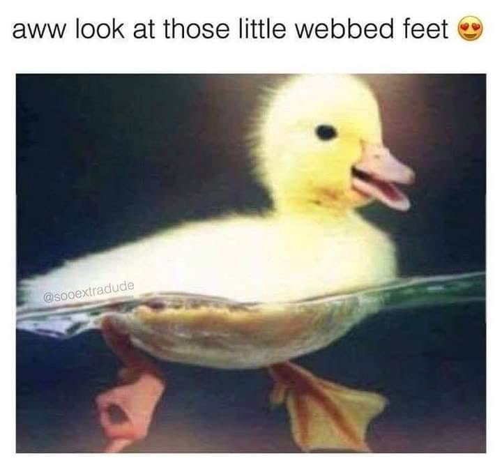 315171452_197421149414836_388969662651167784_n.jpg