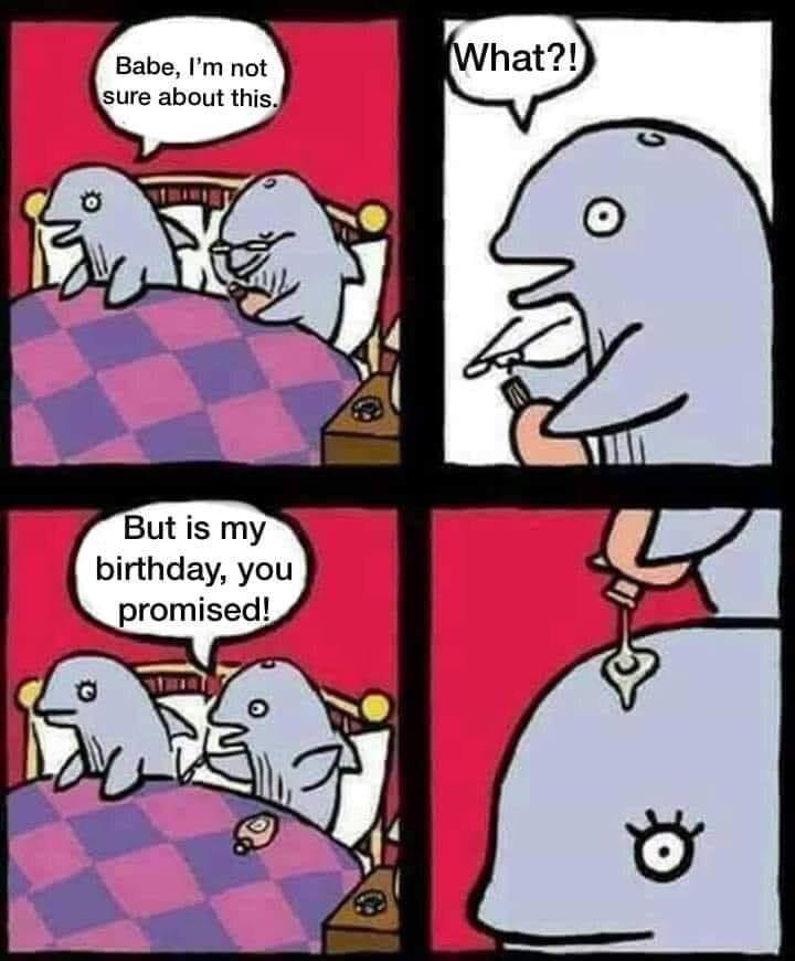 330848719_585413860301169_5835506862353379125_n.jpg