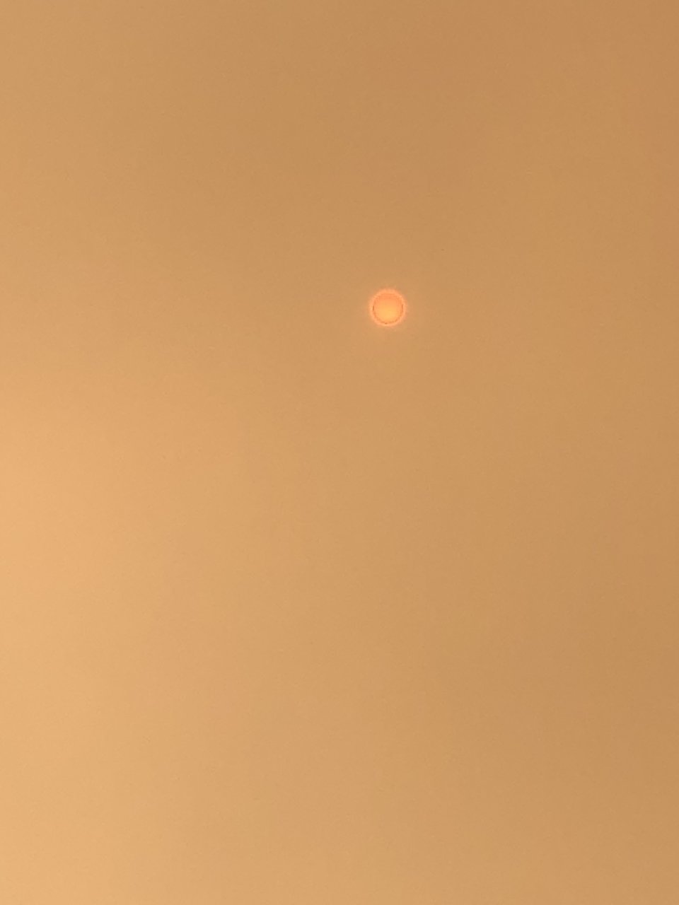 33676A27-0C1B-4F7E-9B15-B0BBFECFE021.jpg