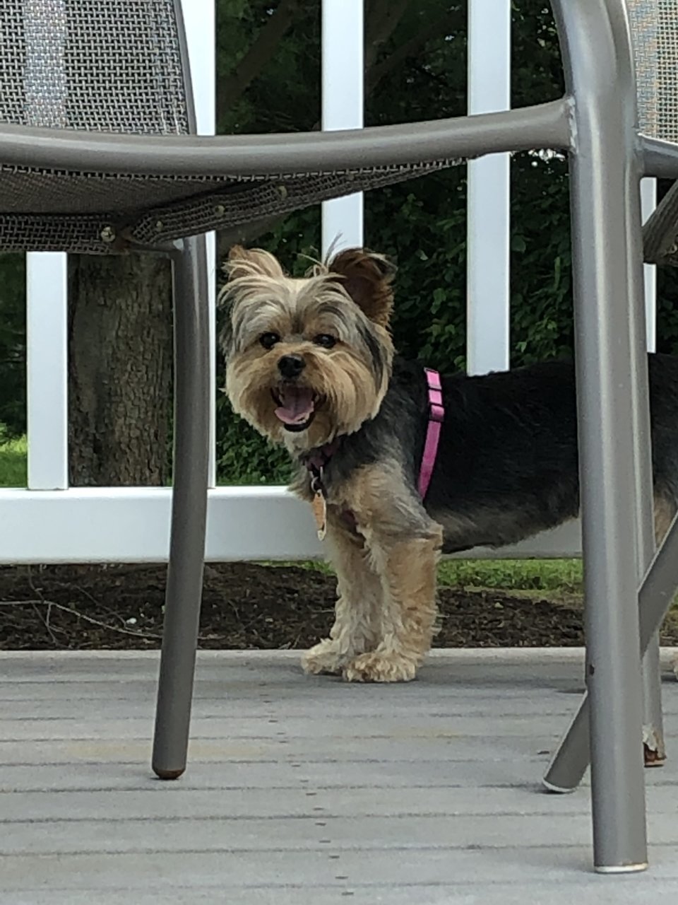35EBCB49-5476-4916-B393-8A07D004BCF5.jpg