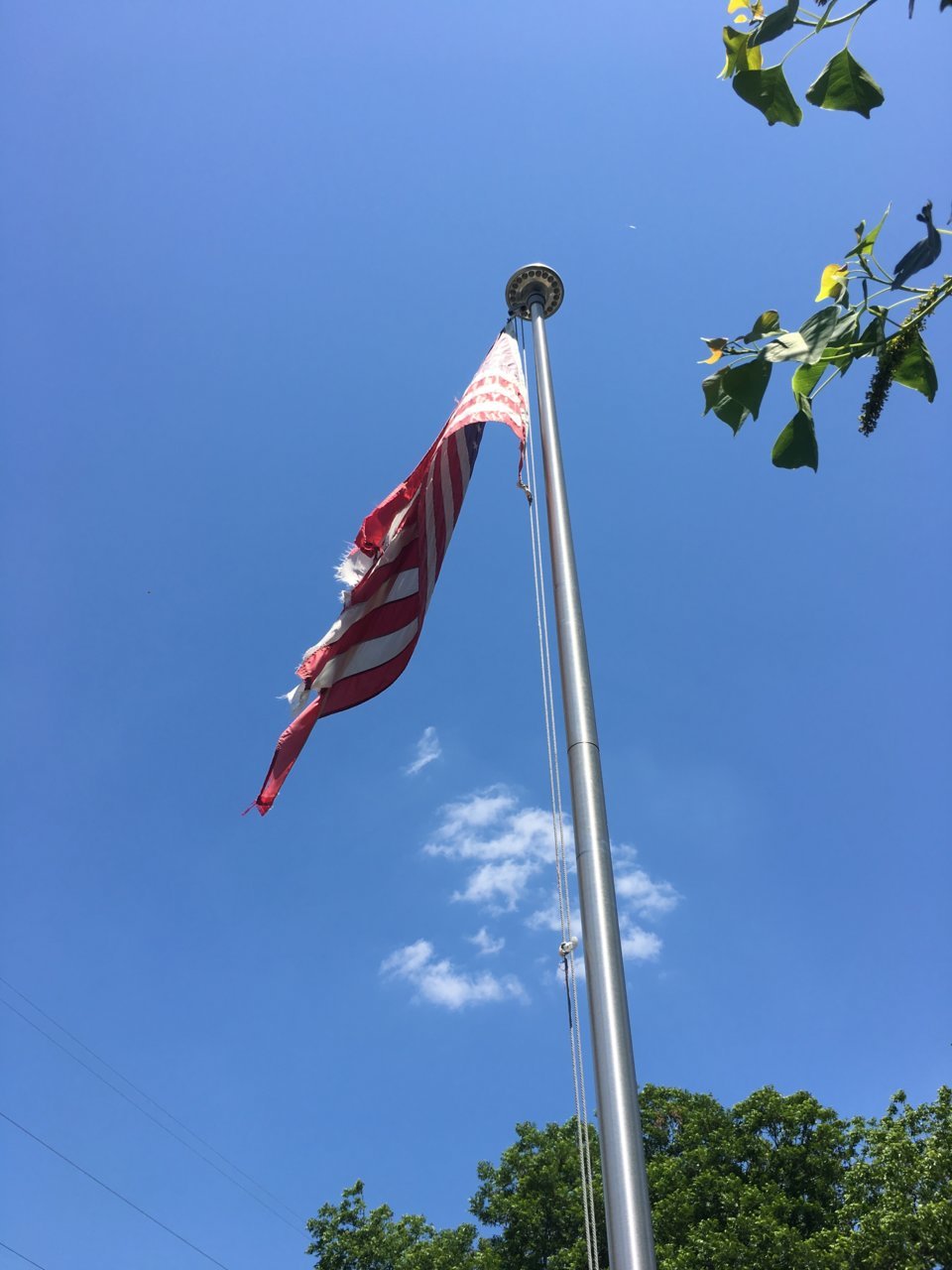 37FE2724-3391-4906-884E-38373C0E6D65.jpg