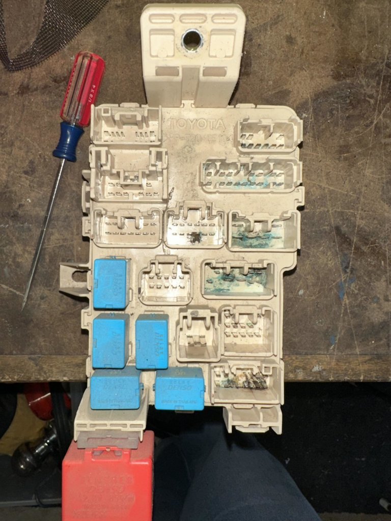 387561935_648252194155846_5228785664828892282_n.jpg