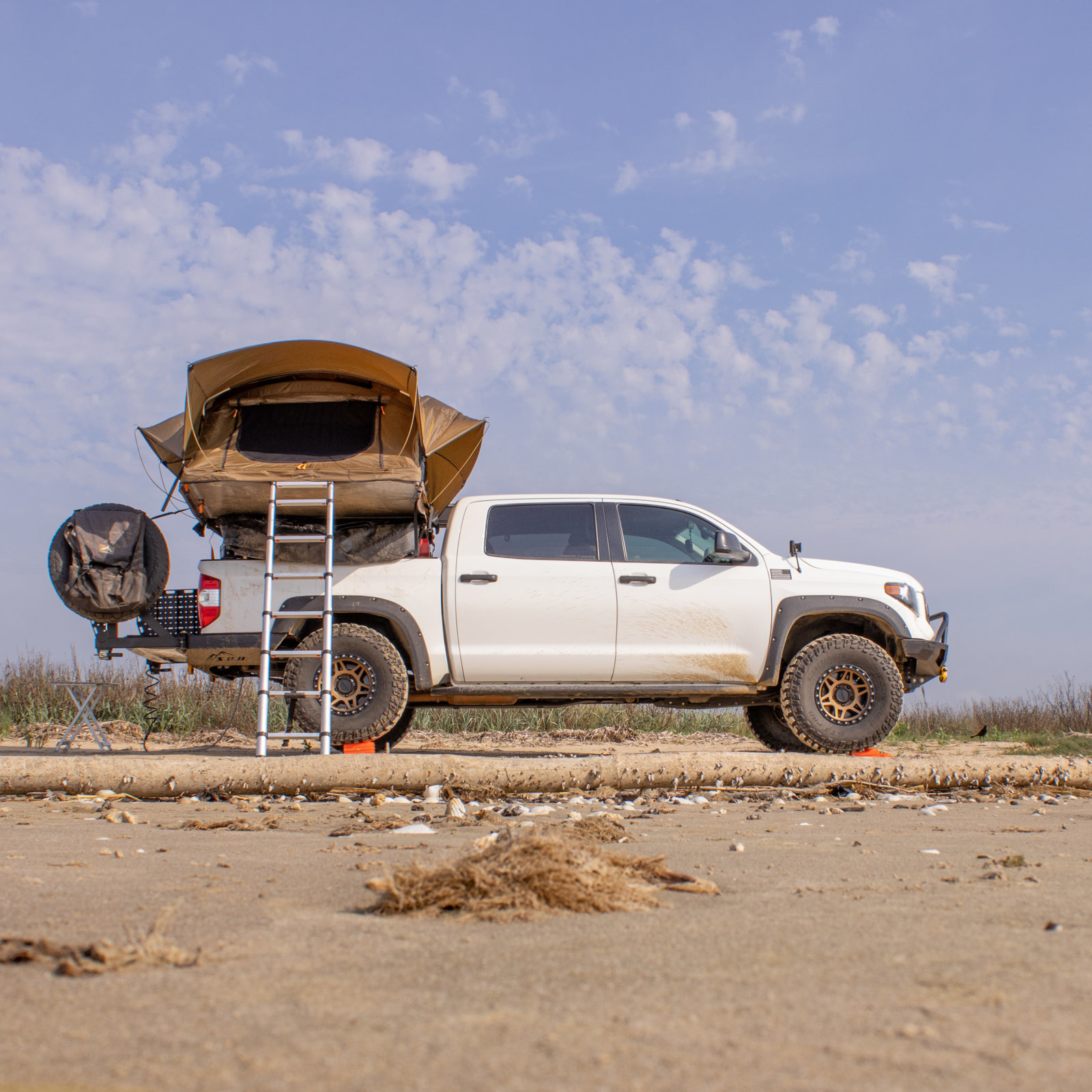 4 1 23 Tundra (39).jpg