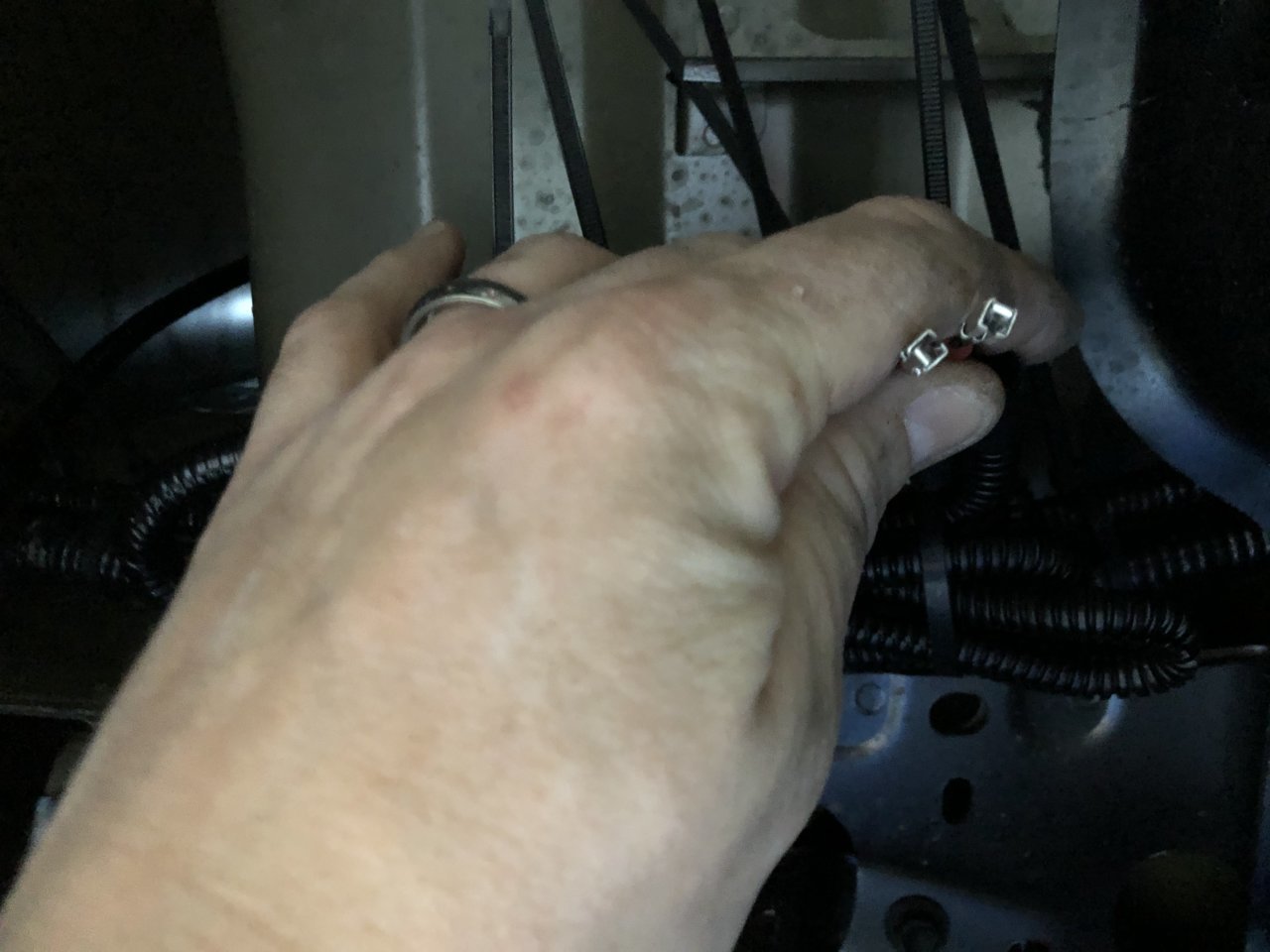 41327DB8-32ED-4EBB-AE1F-70A9202B0B51.jpg