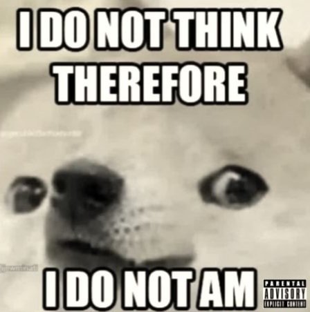 423570ce4e0829b1a8fa67a7e8ab697377c5ee4efe95acb078053fb2e2ddc48e_1.jpg.jpg