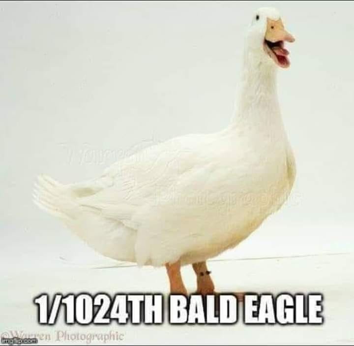 44028990_2251710905052315_3783384030452383744_n.jpg