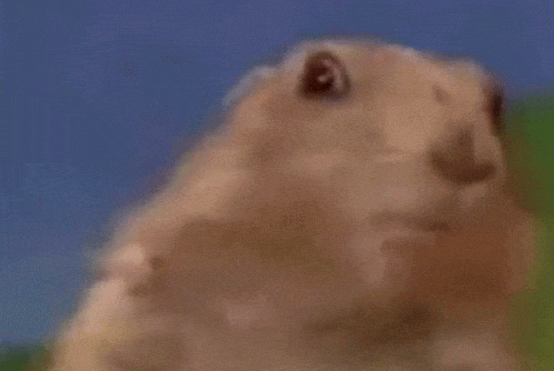 4baee99d9345fc5e0b2b18674f9aa4f63590230c.gif