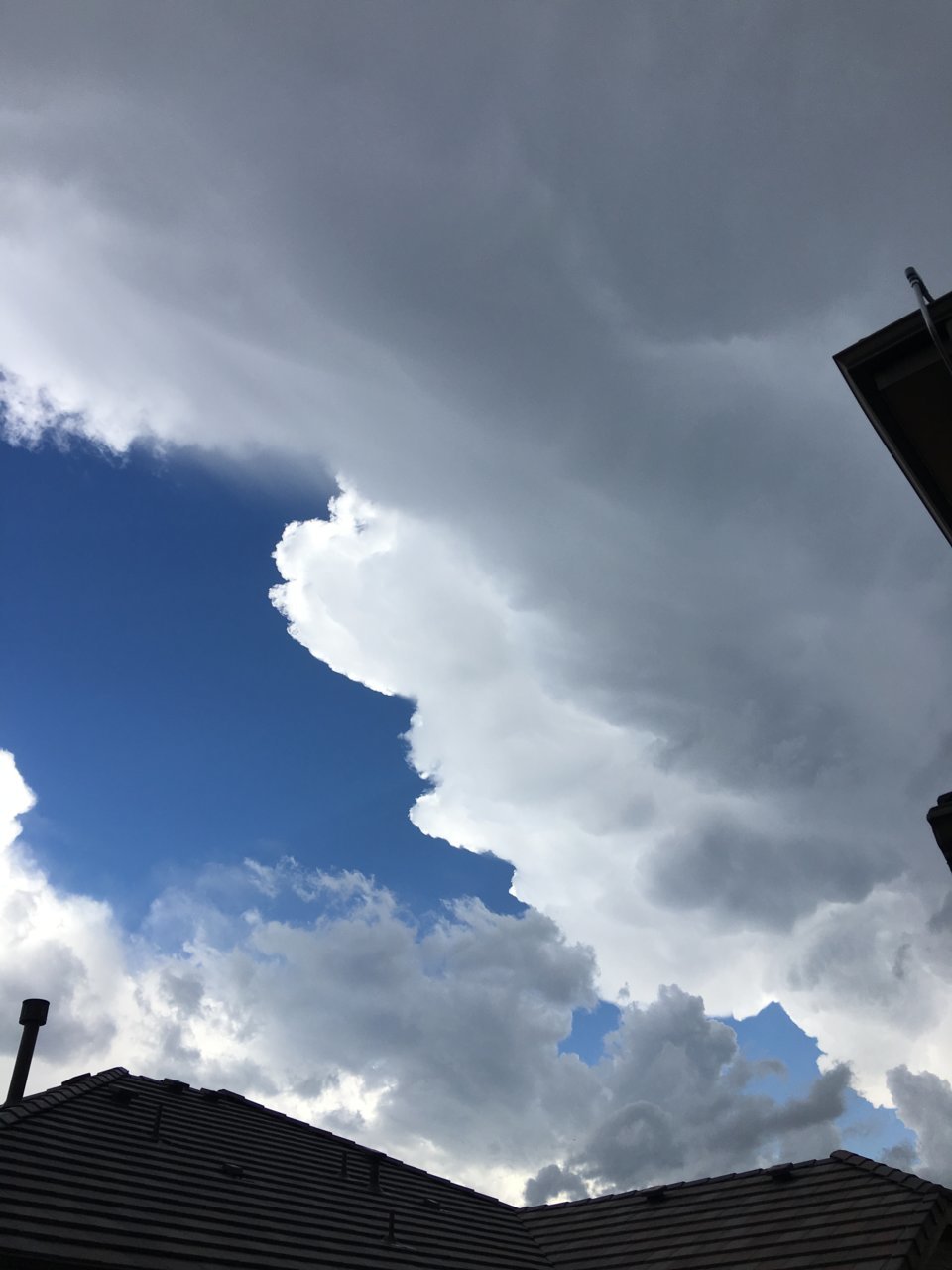 4C0DA658-C969-4D95-BC92-79F38207F2B5.jpg
