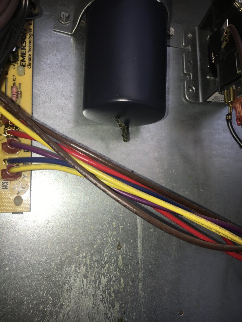 4CCEBD60-80A5-4361-9874-C7882EF63599.jpg