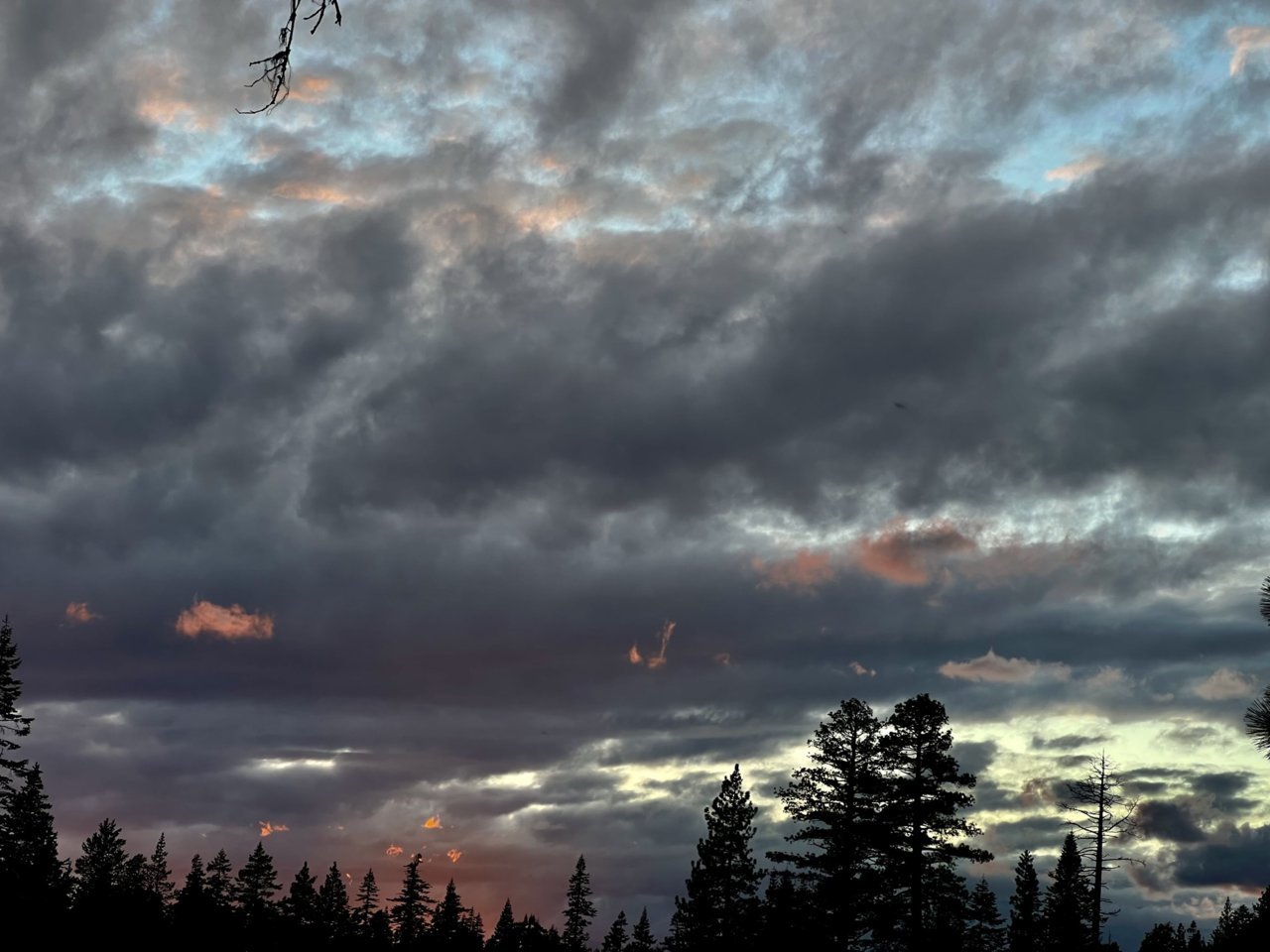 4F88E750-243B-4F53-AE34-CF40288C98CA.jpg