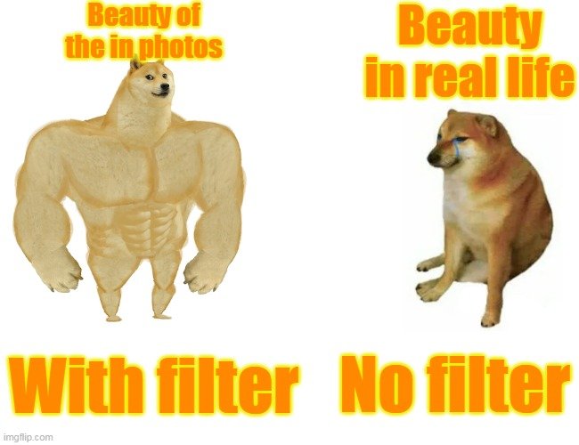 4uvlm7.jpg