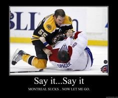 51b15657300b4f86f6a1e128310ad3a0--boston-bruins-hockey-johnny-cupcakes.jpg