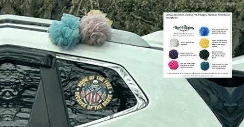 55f63371-1011-47c4-ba7c-bf63c9d5601f-Loofah_code_at_The_Villages.jpg