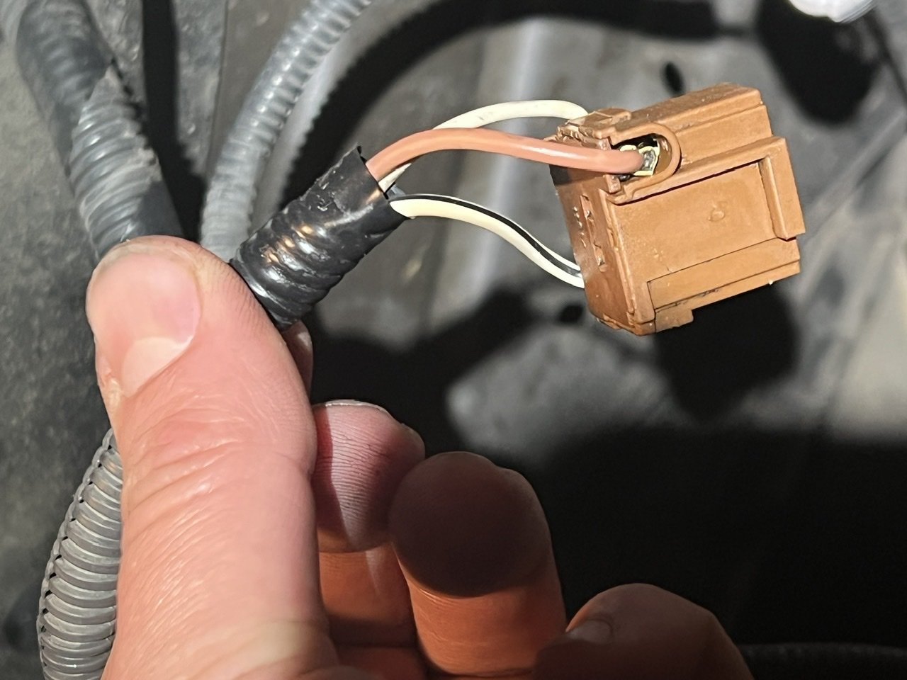 5E2C0FAC-CED5-4895-8E69-C76E86ECF858.jpg