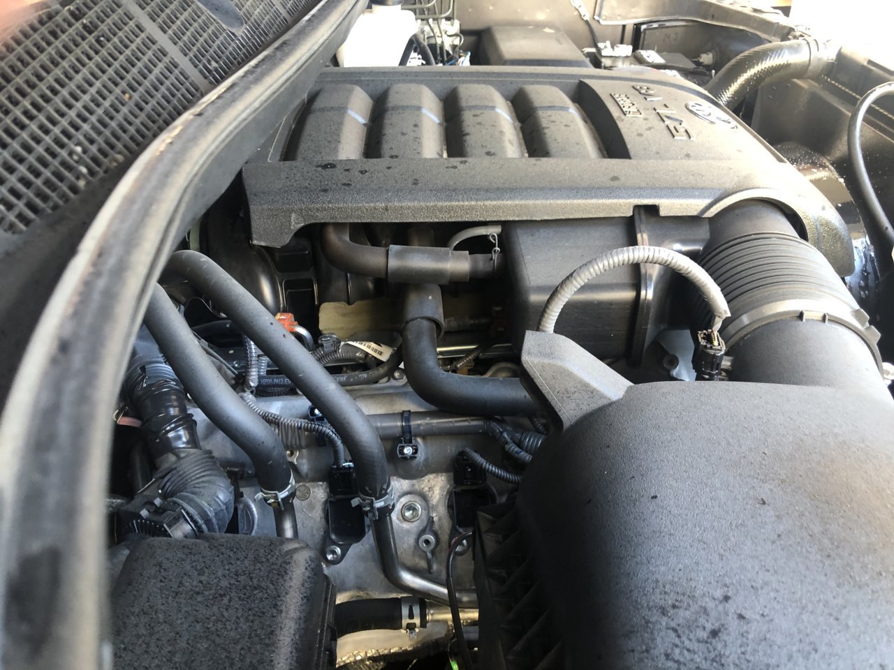 5F5D3D39-D685-44ED-B759-BA1EE8C564D1.jpg