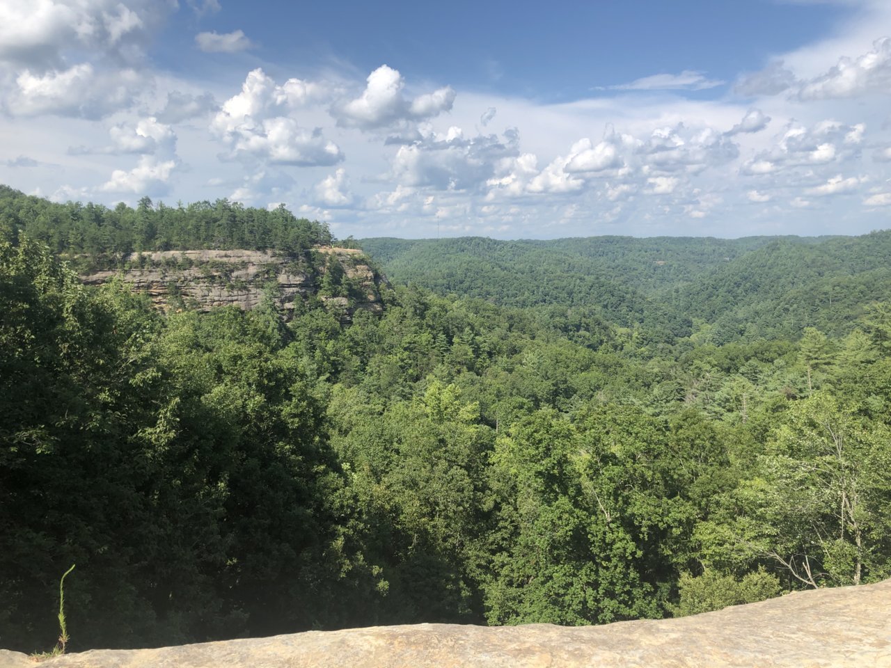 61265067-799B-4207-9790-C6E28780FAE4.jpg