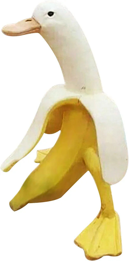 61r4rAwtE8L._AC_UF1000,1000_QL80_FMwebp_.jpg