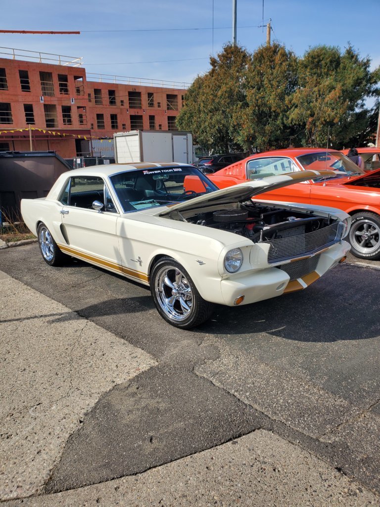 65 stang 1.jpg