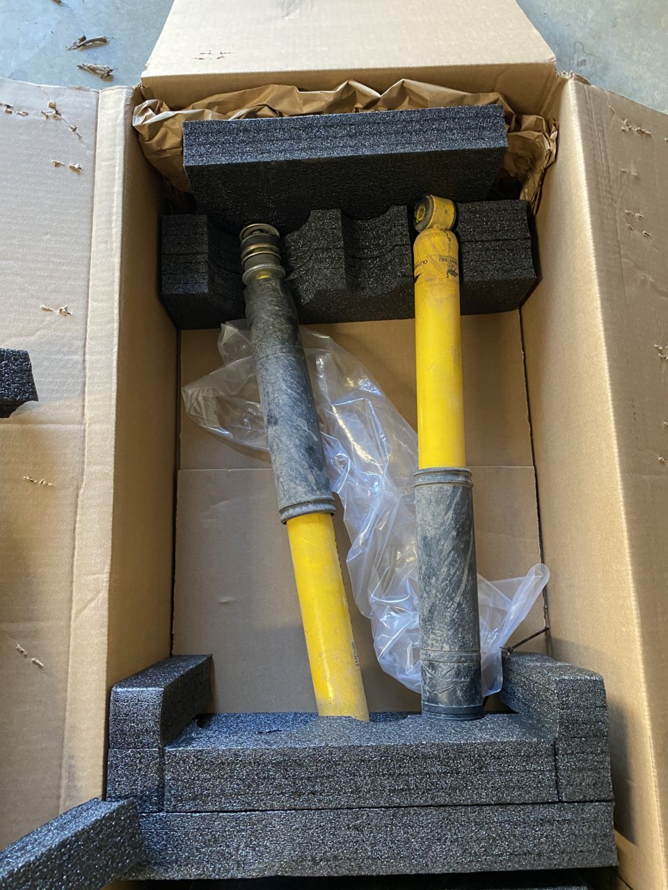 65DAC07B-33AB-459E-97AE-A2791CA933A1.jpg