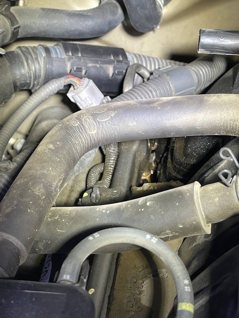 Help diagnose oil leak | Toyota Tundra Forum