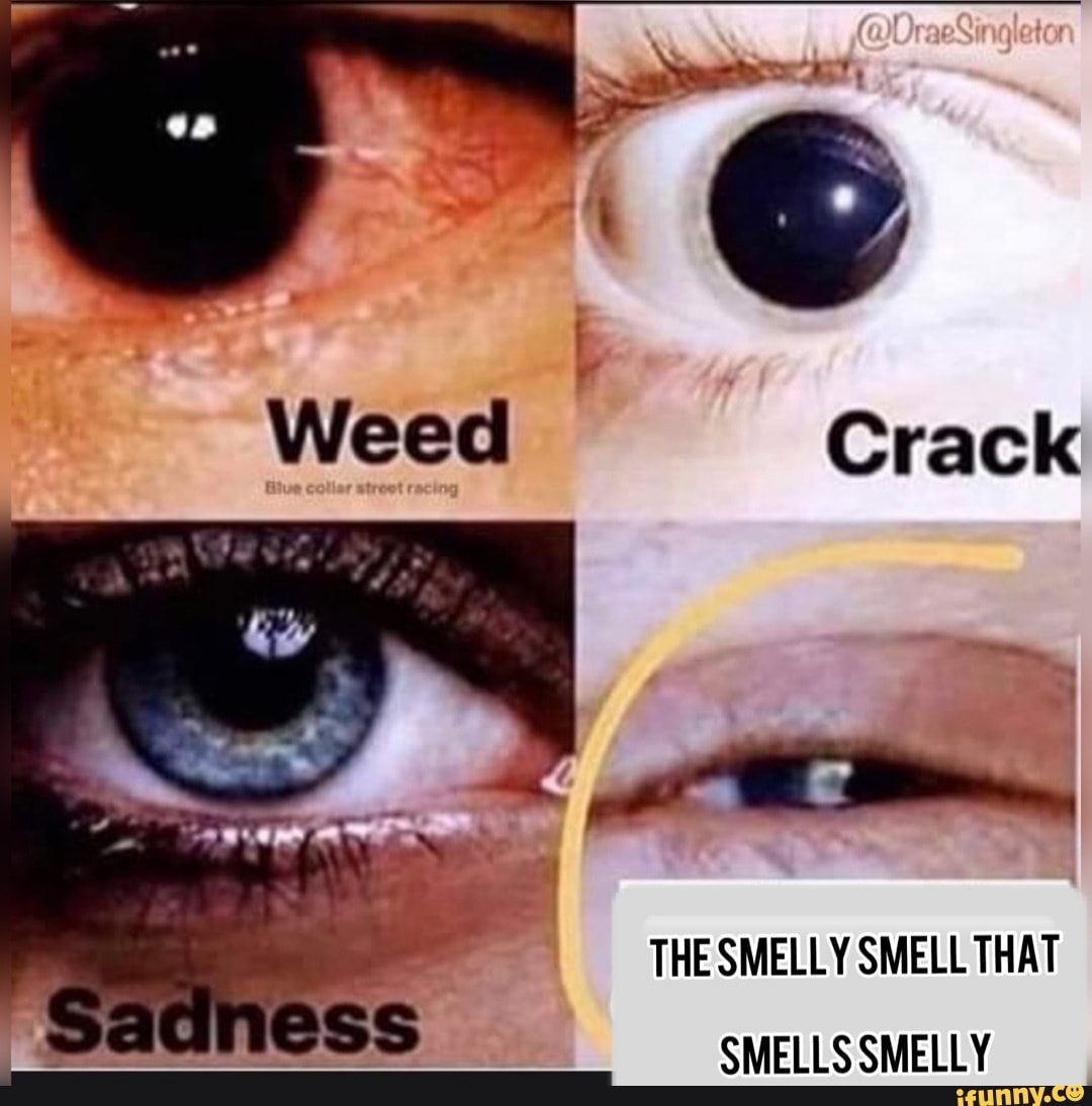 6c0e4adefd0b335ac505e1efe4b636431a6e0b107e346120aa8caa07fc3c36c6_1.jpg.jpg