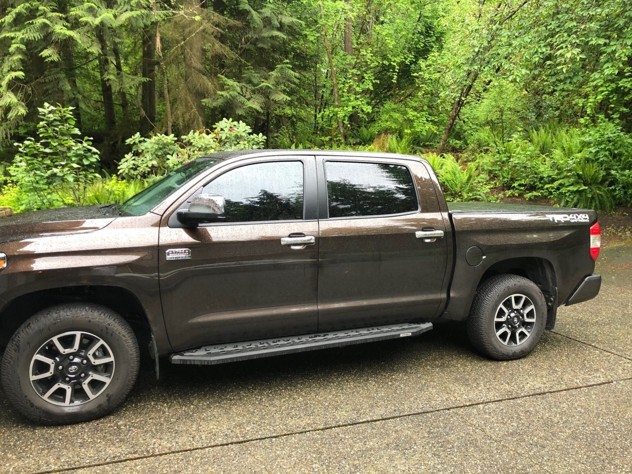 running boards for toyota tacoma 2018