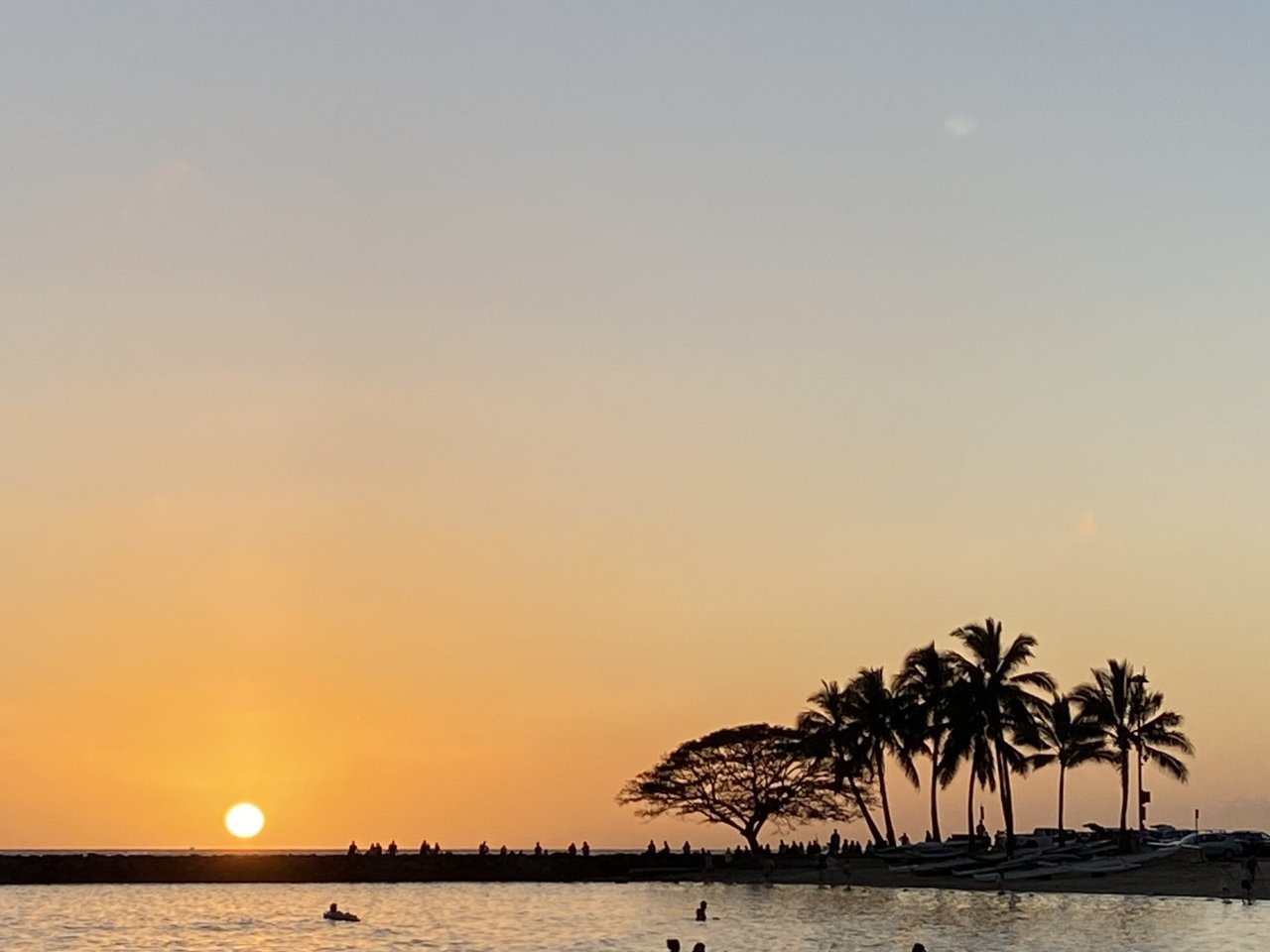 726BF683-0AB6-4307-AEDD-A5E8C0A22C47.jpg