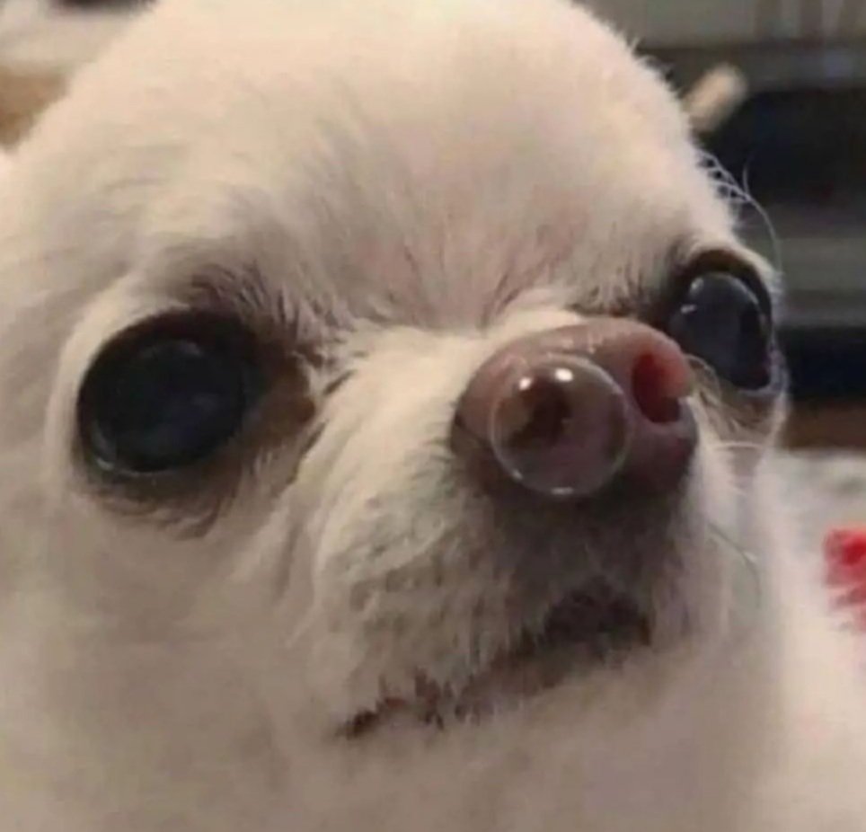764edd5b9508457e86d8b2c6c45023516cb0e69e484d585b16d737e59ed451e4_1.jpg.jpg
