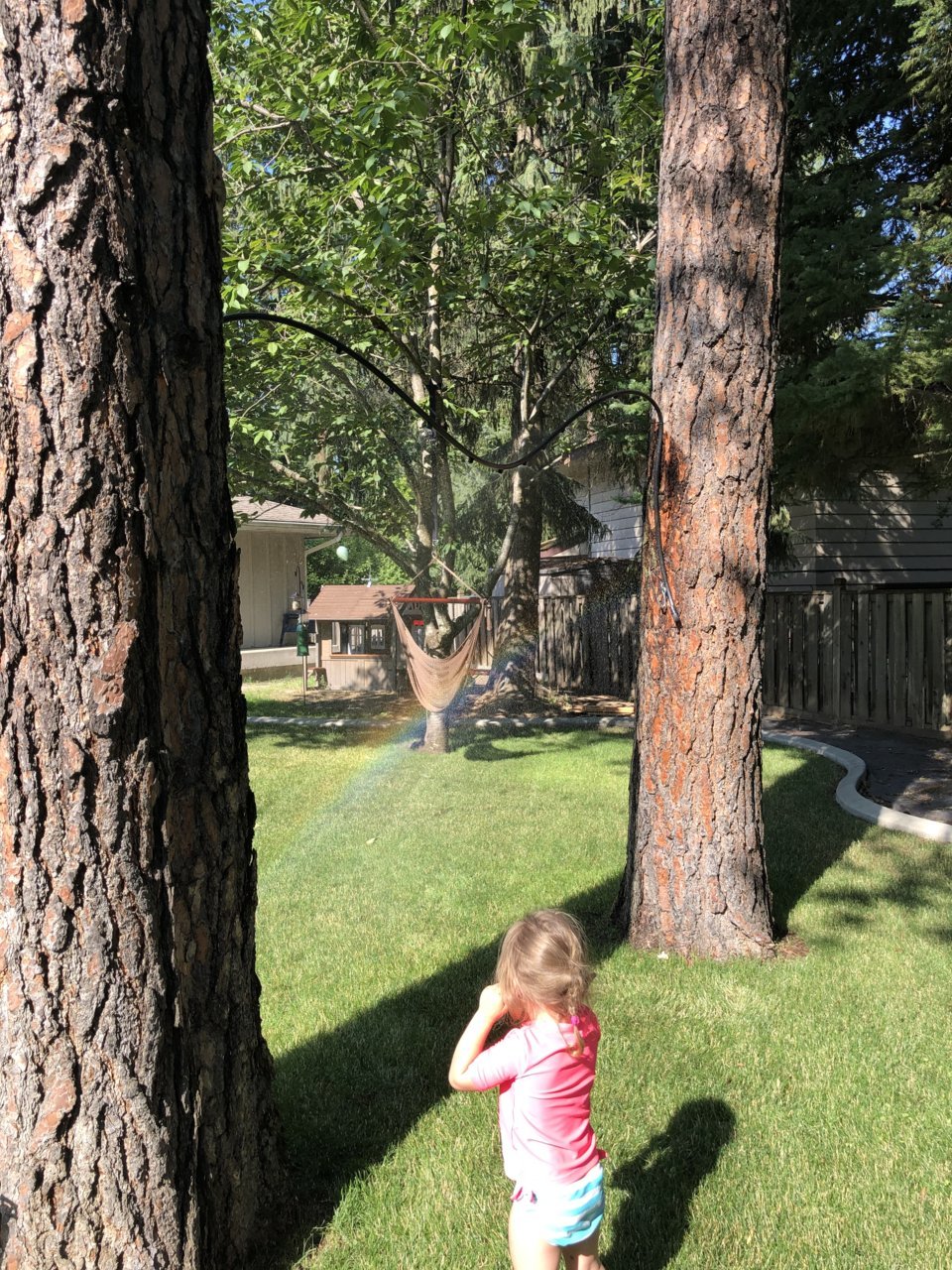 77E49605-7892-429C-AAE4-8024BBDE5CD3.jpg