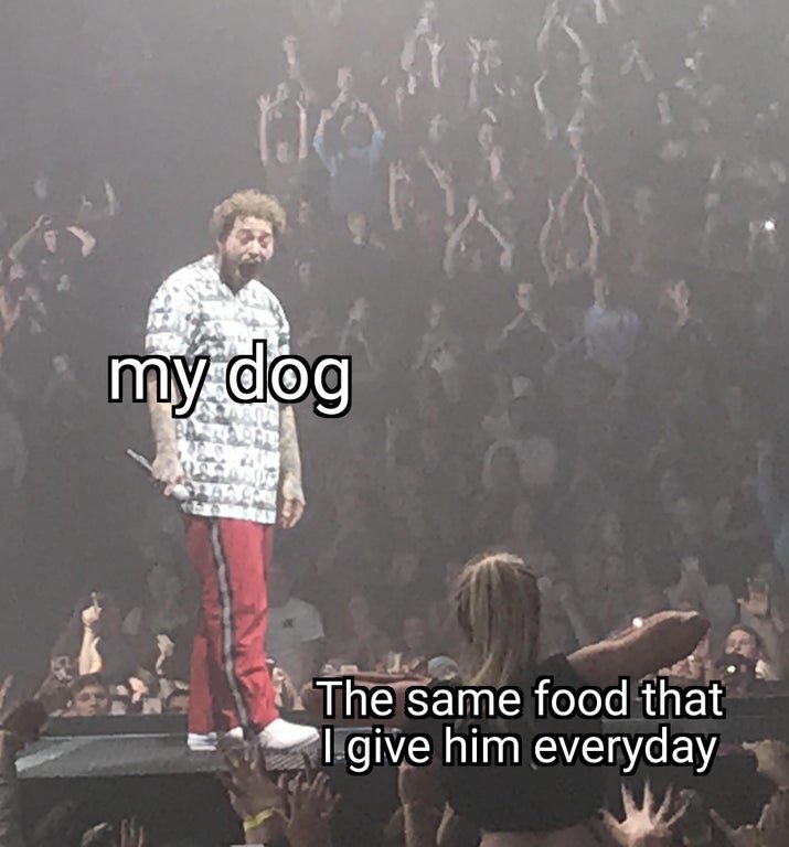 797.jpg