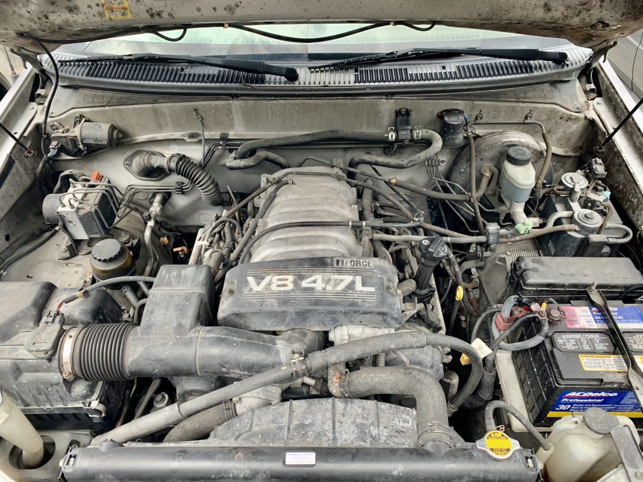 7AF83212-C4E0-49CE-A369-B79C95542183.jpg