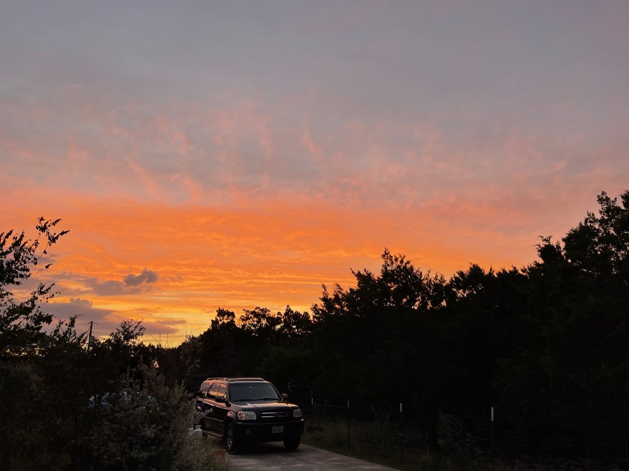 7FE08459-60DC-4699-83A6-46CEDFD2EDE9.jpg