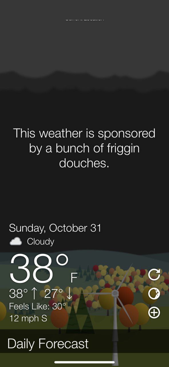 808723FB-1B16-49E7-BBD4-69019CC4CCB7.jpg