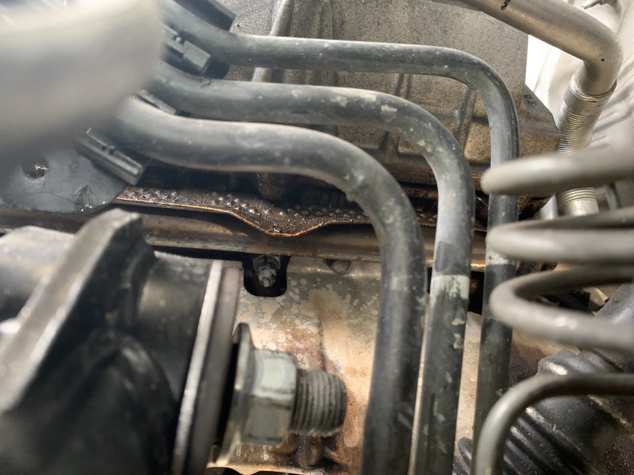 80F3FE70-723D-4FCA-85C5-E5BBA164BD07.jpg