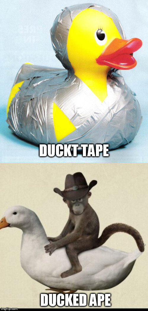 816B19C8-D57F-4259-9DFC-2AE2B06C647B.jpg
