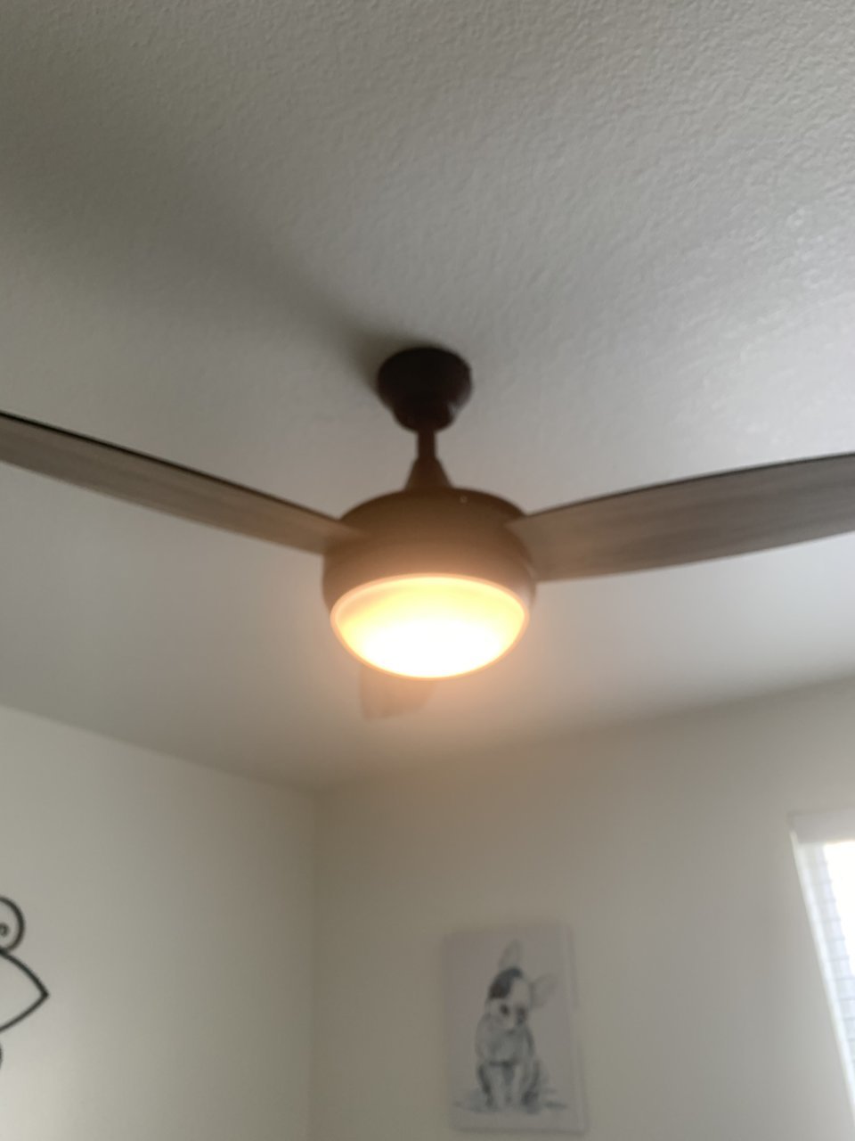 887D35D5-4C6B-4B82-AFFF-260C08FD839B.jpg