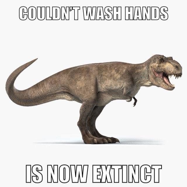 89032031_10163966868055377_7490858637116571648_n.jpg