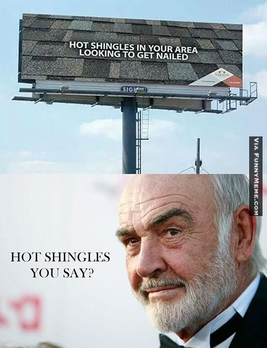 8b0e75d7d7f5e2735b7334ac832b2f2a--funny-picture-quotes-funny-pics.jpg
