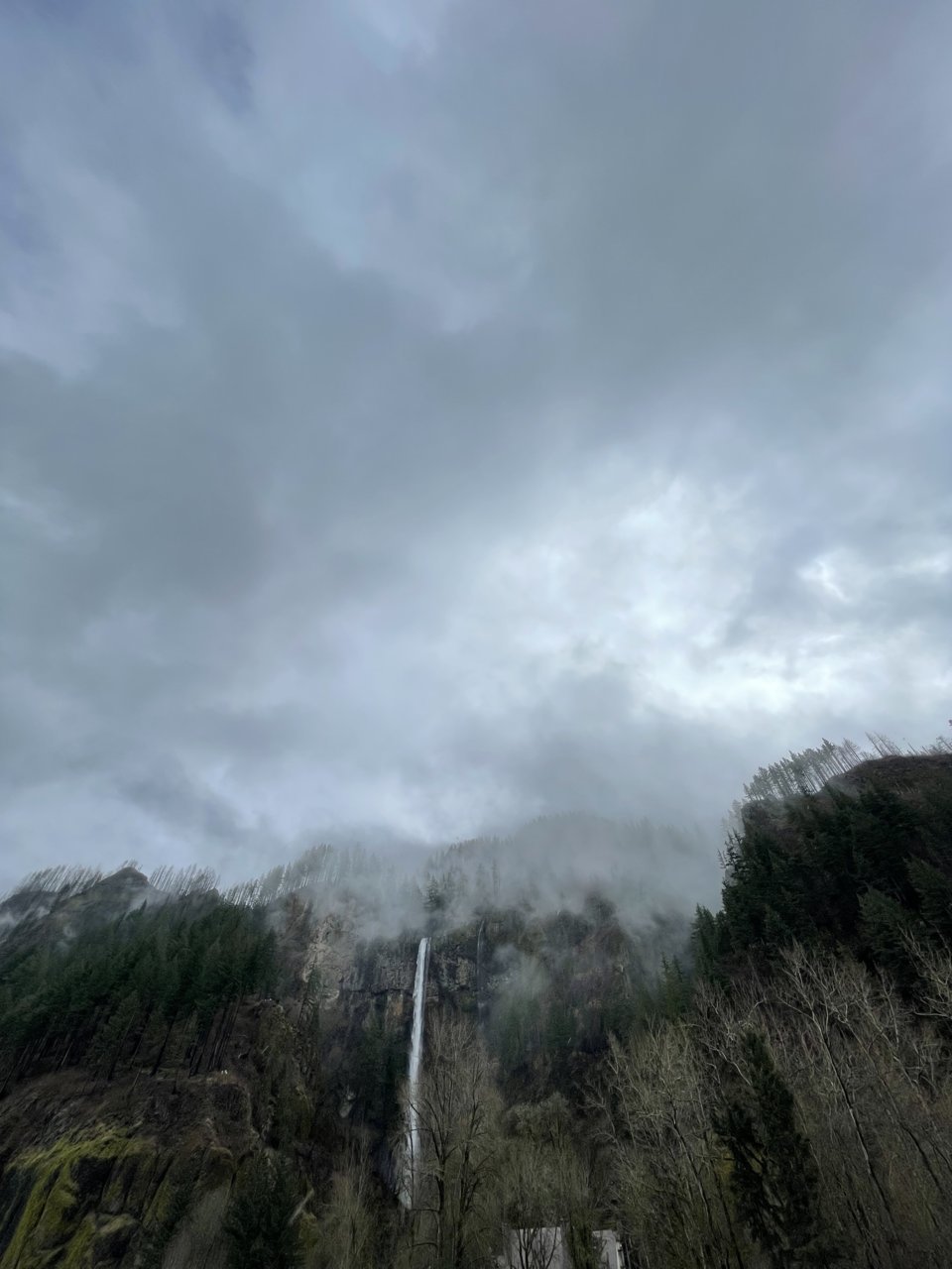 8F1E56B8-59E6-4A69-BEEA-3F3F116AB158.jpg