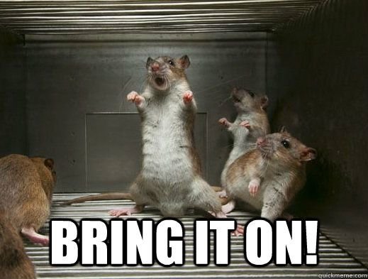 924dcd1427084c035bdfde18bf6a6ea4--funny-meme-pictures-funny-images.jpg